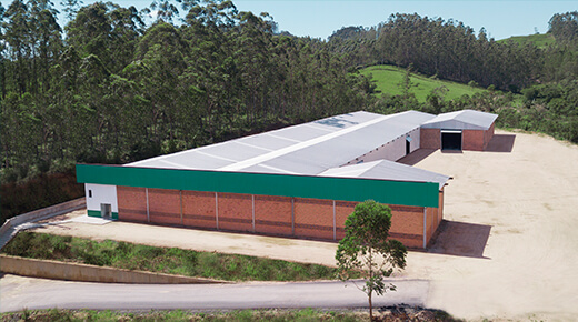 Fonplast Descartáveis